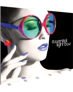 Vector Frame Essential Light Box Rectangle 05